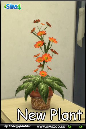 Plant with flowers by blackypanther at Blacky’s Sims Zoo