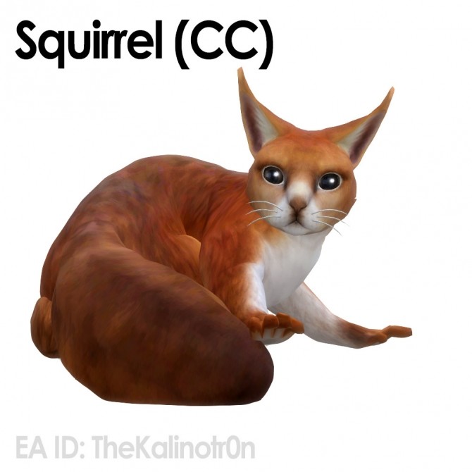 Sims 4 New CCs for cats at Kalino