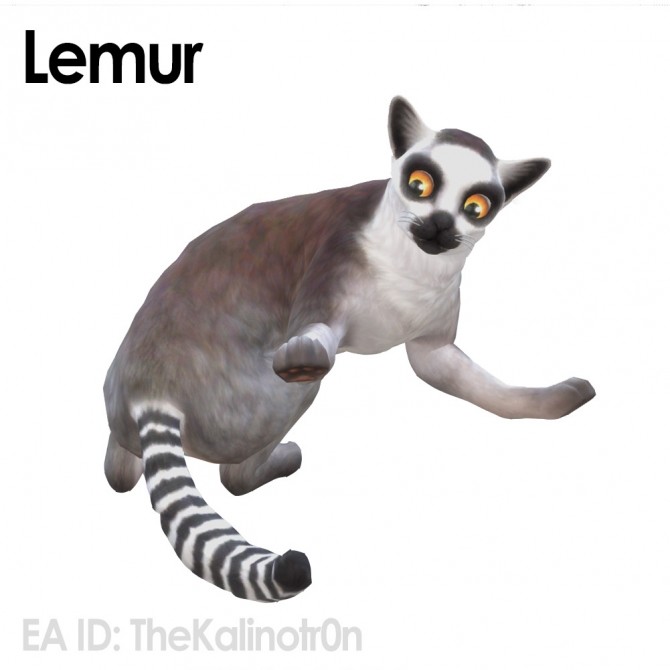 Sims 4 Lemur, monkeys and squirrel at Kalino