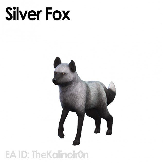 Sims 4 African serval, silver fox, grizzly bear and otter at Kalino