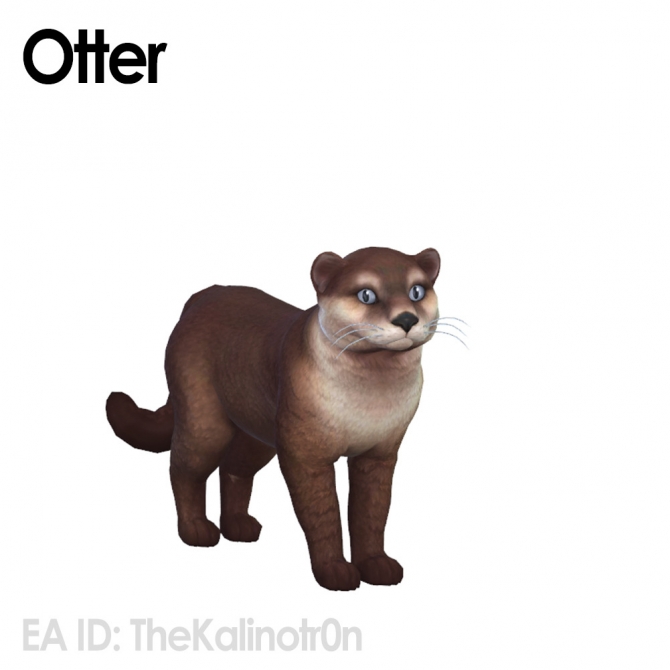 African Serval Silver Fox Grizzly Bear And Otter At Kalino Sims 4
