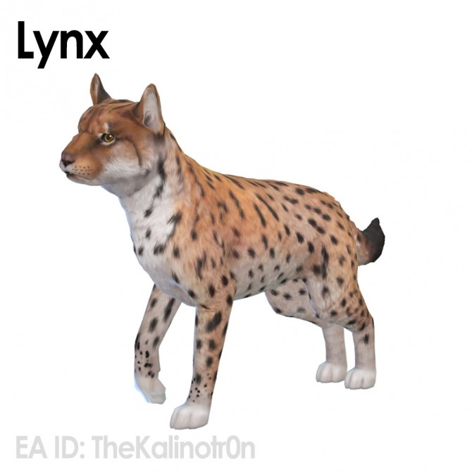 Sims 4 Bobcat, sabertooth, lynx and sloth at Kalino