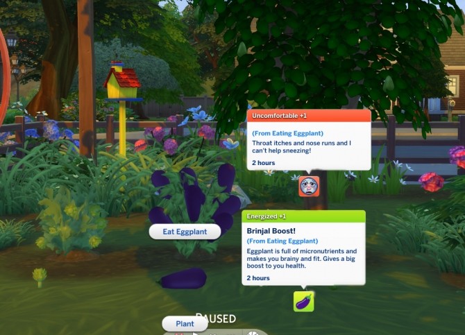Sims 4 Harvestable Artichoke, Aubergine and Avocado by icemunmun at Mod The Sims