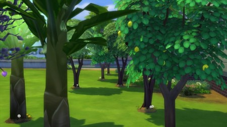 No watering trees by moddymel at Mod The Sims