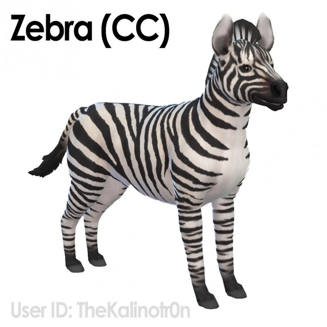 Sims 4 Horse, Zebra and Donkey at Kalino