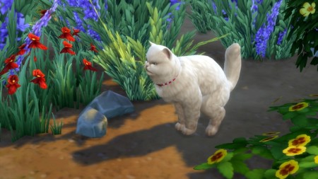 Nature’s Kitty Litter by K9DB at Mod The Sims