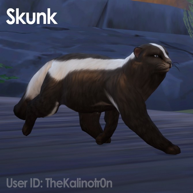 Sims 4 Young Lion, Calf, Skunk and Raccoon at Kalino