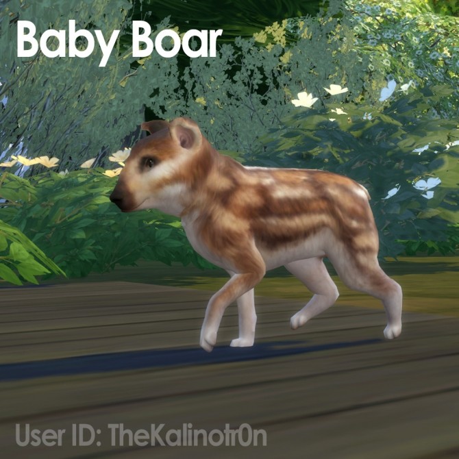 Sims 4 Puma, Black Panther, Marten, Arctic Fox, Baby Boar and Wolf at Kalino