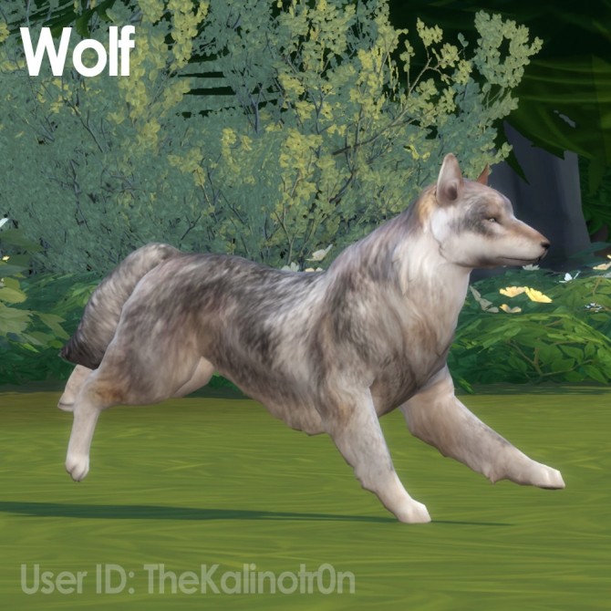 Sims 4 Puma, Black Panther, Marten, Arctic Fox, Baby Boar and Wolf at Kalino