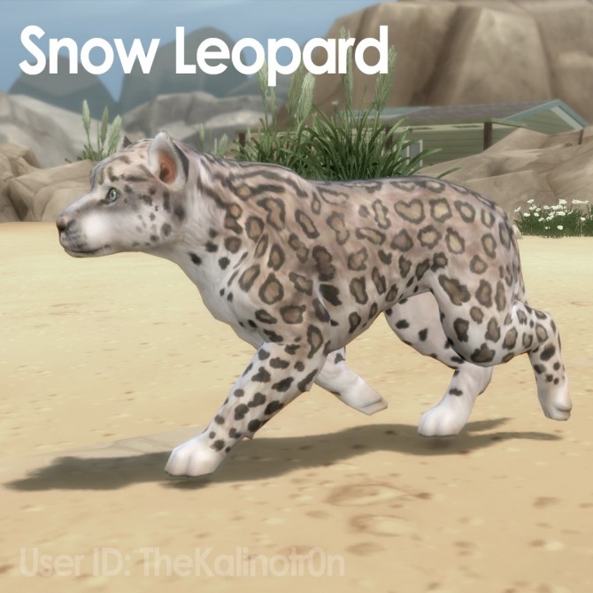 Sims 4 Snow Leopard, Leopard, Fallow Deer, Deer and White Tiger at Kalino