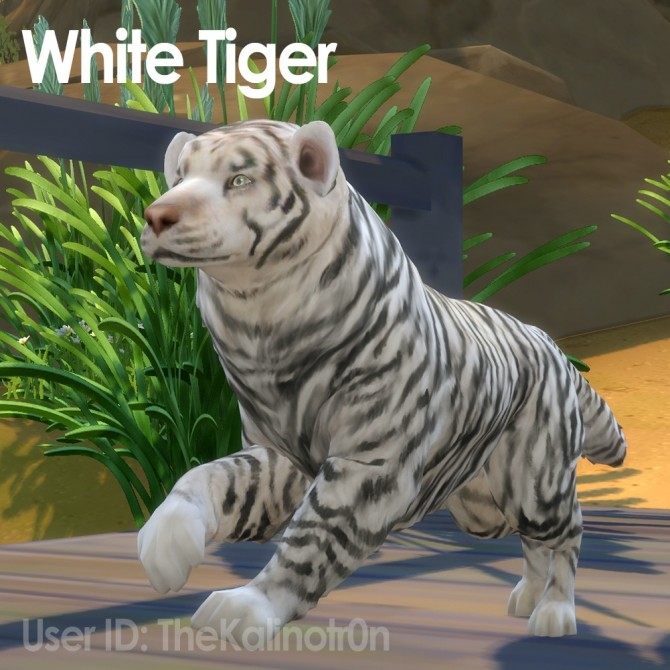 Sims 4 Snow Leopard, Leopard, Fallow Deer, Deer and White Tiger at Kalino