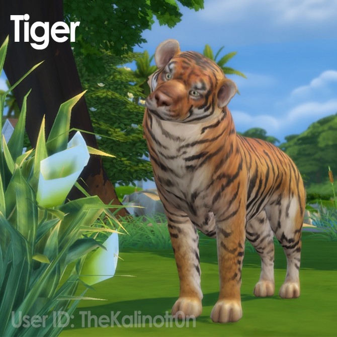 Sims 4 Cheetah, Desert Fox, Jackal, Red Panda, Lion, Bear, Polar Bear, Badger and Tiger at Kalino