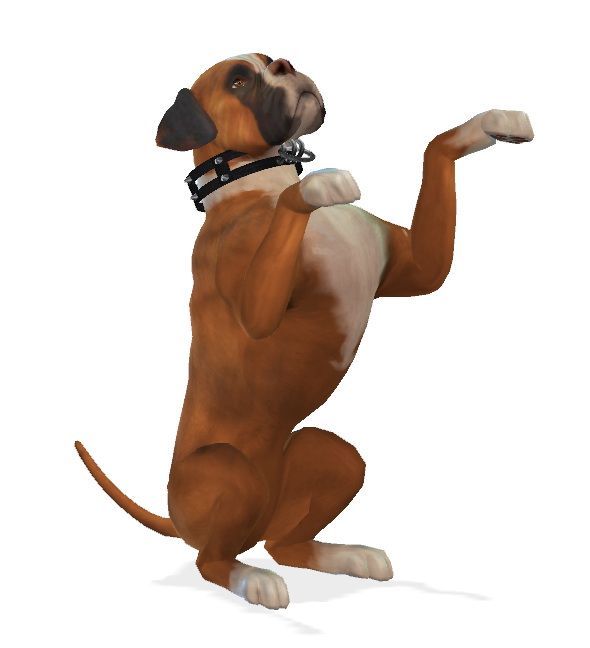 Sims 4 Kona the Boxer Dog at Enchanting Essence