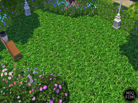 Realistic Grass at MSQ Sims