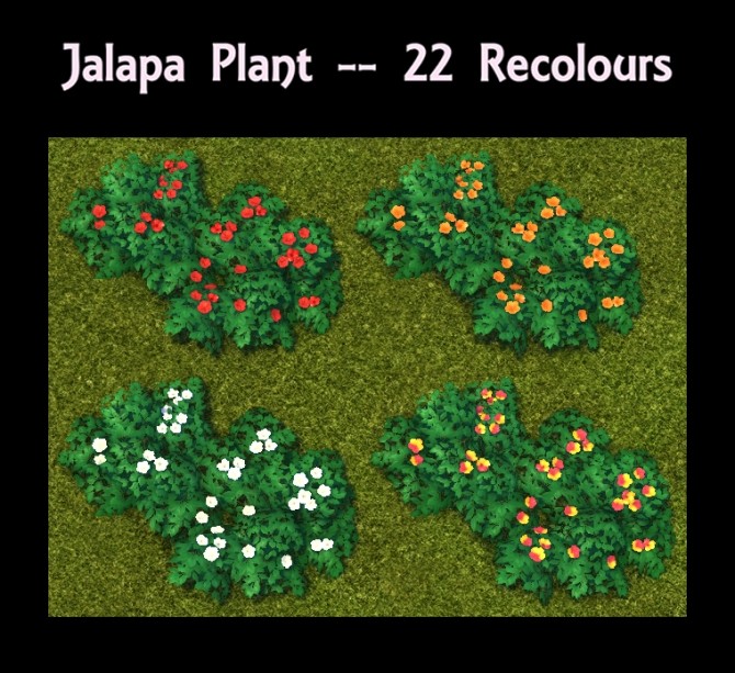 Sims 4 Jalapa Plant 22 Recolours by Simmiller at Mod The Sims