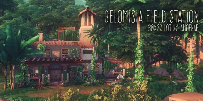 Sims 4 BELOMISIA FIELD STATION at Picture Amoebae