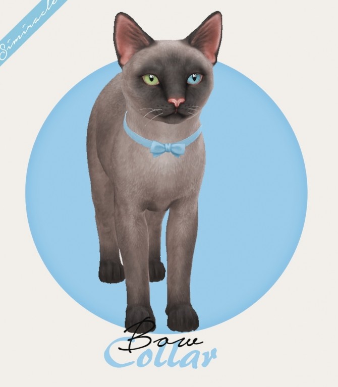 Sims 4 Bow Collar Cats at Simiracle