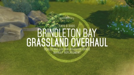 Brindleton Bay Grassland Overhaul Default Replacement Grass at Simsational Designs