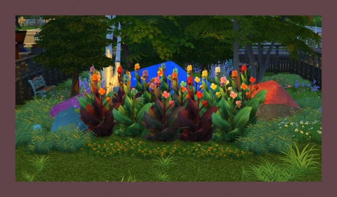Sims 4 Canna Plant 20 Recolours by Simmiller at Mod The Sims