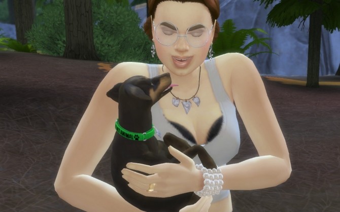 Sims 4 Service Dog Collars for Small Dogs by EmilitaRabbit at Mod The Sims