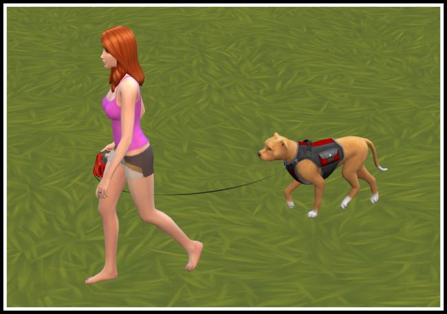 Sims 4 Quick Walk with the Dog at LittleMsSam