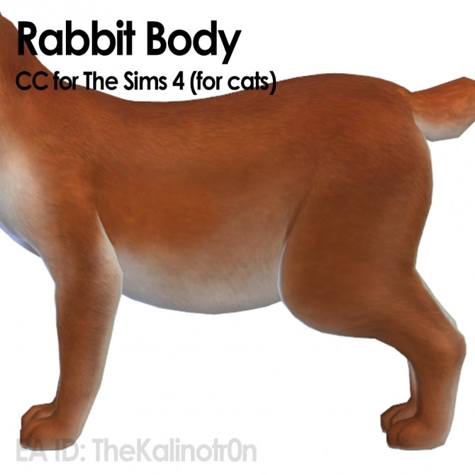 Sims 4 Rabbit and CC for your cats at Kalino