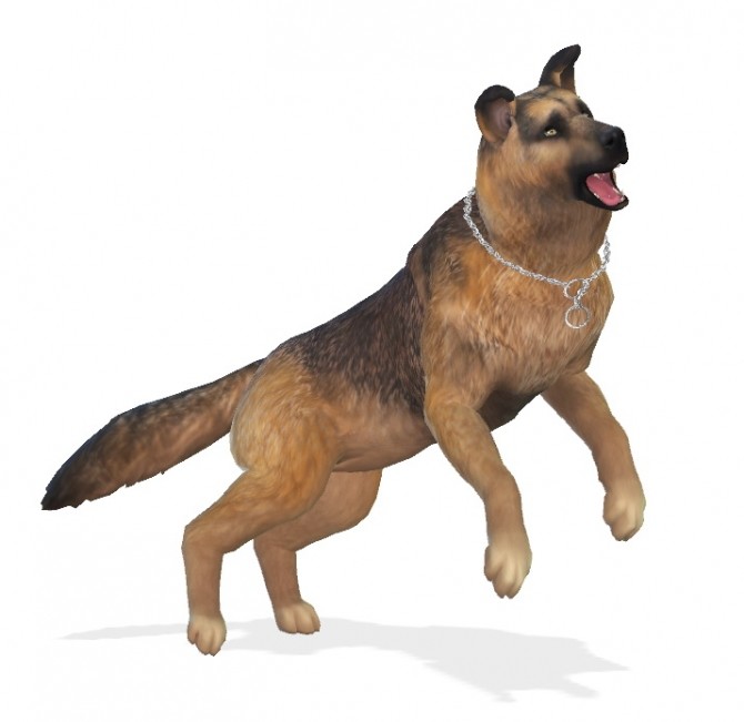 Sims 4 Bruce the German Shepherd dog at Enchanting Essence
