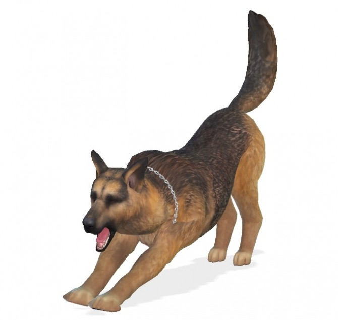 Sims 4 Bruce the German Shepherd dog at Enchanting Essence