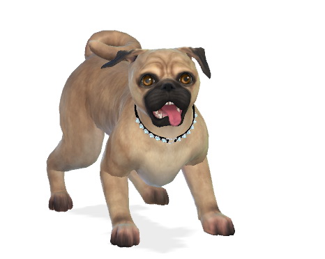 Sims 4 Rosie the Pug dog at Enchanting Essence