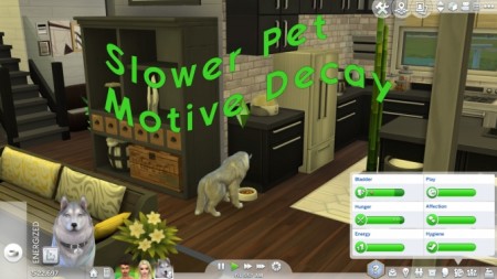 Slower Pet Motive Decay by snthe at Mod The Sims