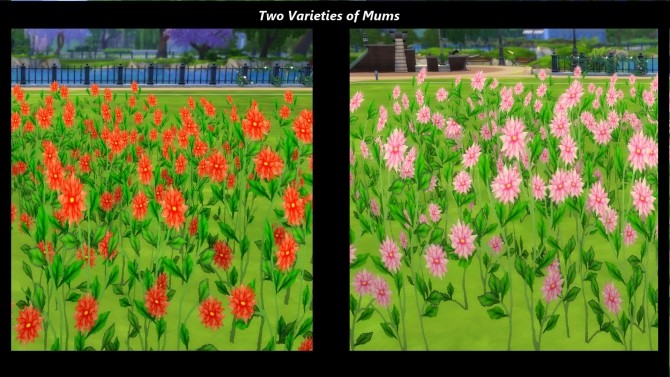 Sims 4 Early Spring Fields of Wildflowers by Snowhaze at Mod The Sims