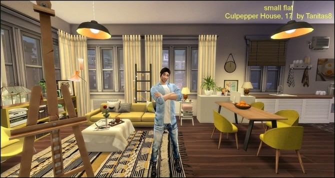 Sims 4 Culpepper House 17 small flat apartment at Tanitas8 Sims