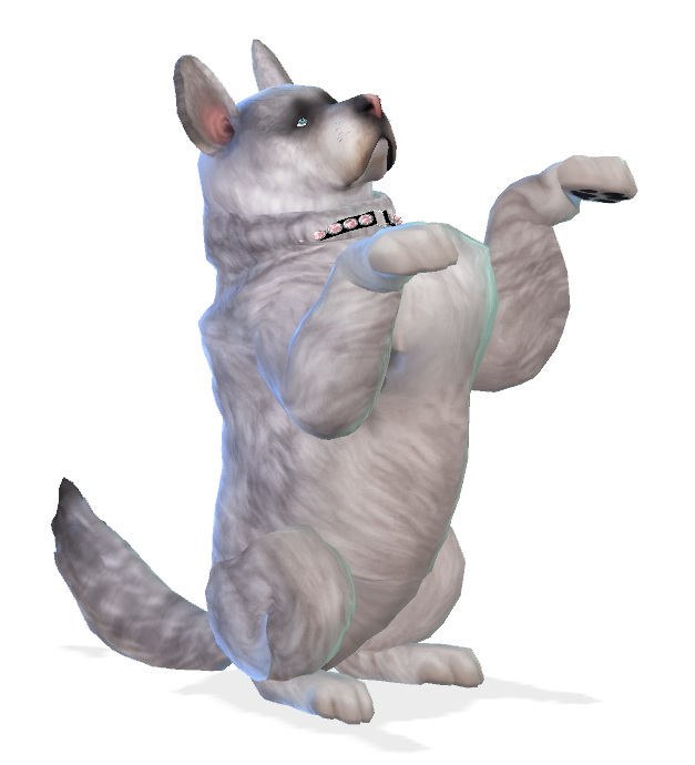Sims 4 Fai dog at Enchanting Essence