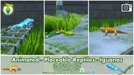 Animated Placeable Reptiles Iguanas by Bakie at Mod The Sims