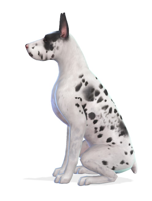 Sims 4 Genie the Great Dane at Enchanting Essence