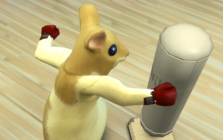 Stop Boxing Delay by RedRidingCat at Mod The Sims