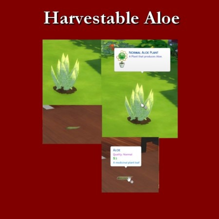Harvestable Aloe by Leniad at SimsWorkshop