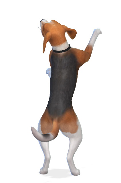 Sims 4 Jack the Beagle at Enchanting Essence