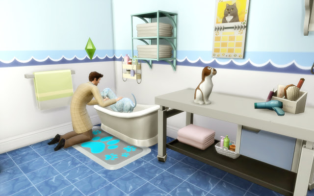 Sims 4 Animal Care Vet Clinic at Via Sims