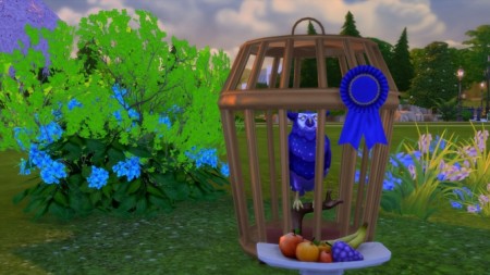 Sturdy Birdie Bird Cage by Snowhaze at Mod The Sims