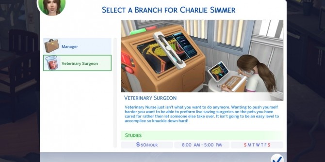 Sims 4 Veterinary Career by SimmerCharlie at Mod The Sims