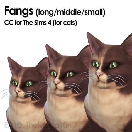 Fangs for small dogs and cats at Kalino