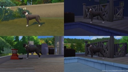 Dog Pregnancy Overhaul by n8smom8496 at Mod The Sims