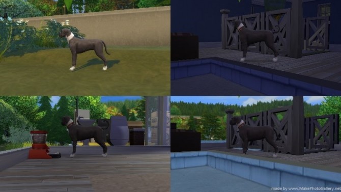 Sims 4 Dog Pregnancy Overhaul by n8smom8496 at Mod The Sims