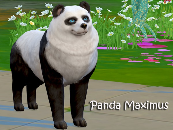 Sims 4 Panda Maximus by Sims House at TSR