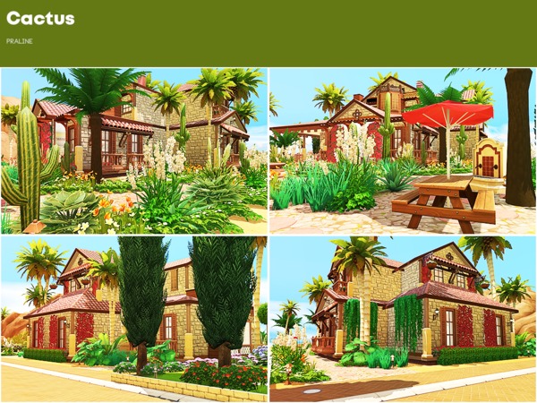 Sims 4 Cactus house by Pralinesims at TSR
