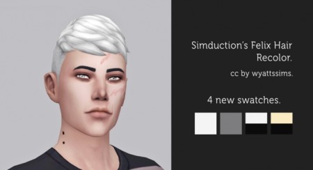 SIMDUCTION’S FELIX HAIR RECOLOR at Wyatts Sims