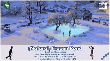 Frozen Ponds for Ice Skating by Bakie at Mod The Sims