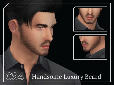 Handsome Luxury Beard by Choi Sims 4 at TSR
