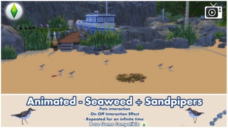 Animated Seaweed + Sandpipers by Bakie at Mod The Sims
